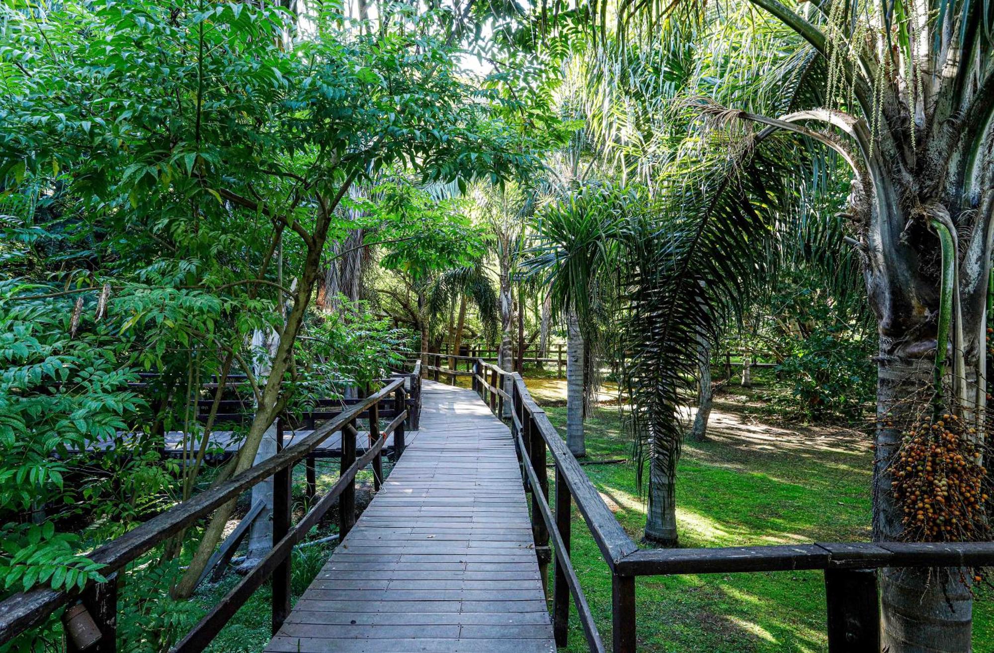 Delta Eco Resort & Spa Tigre Exteriör bild