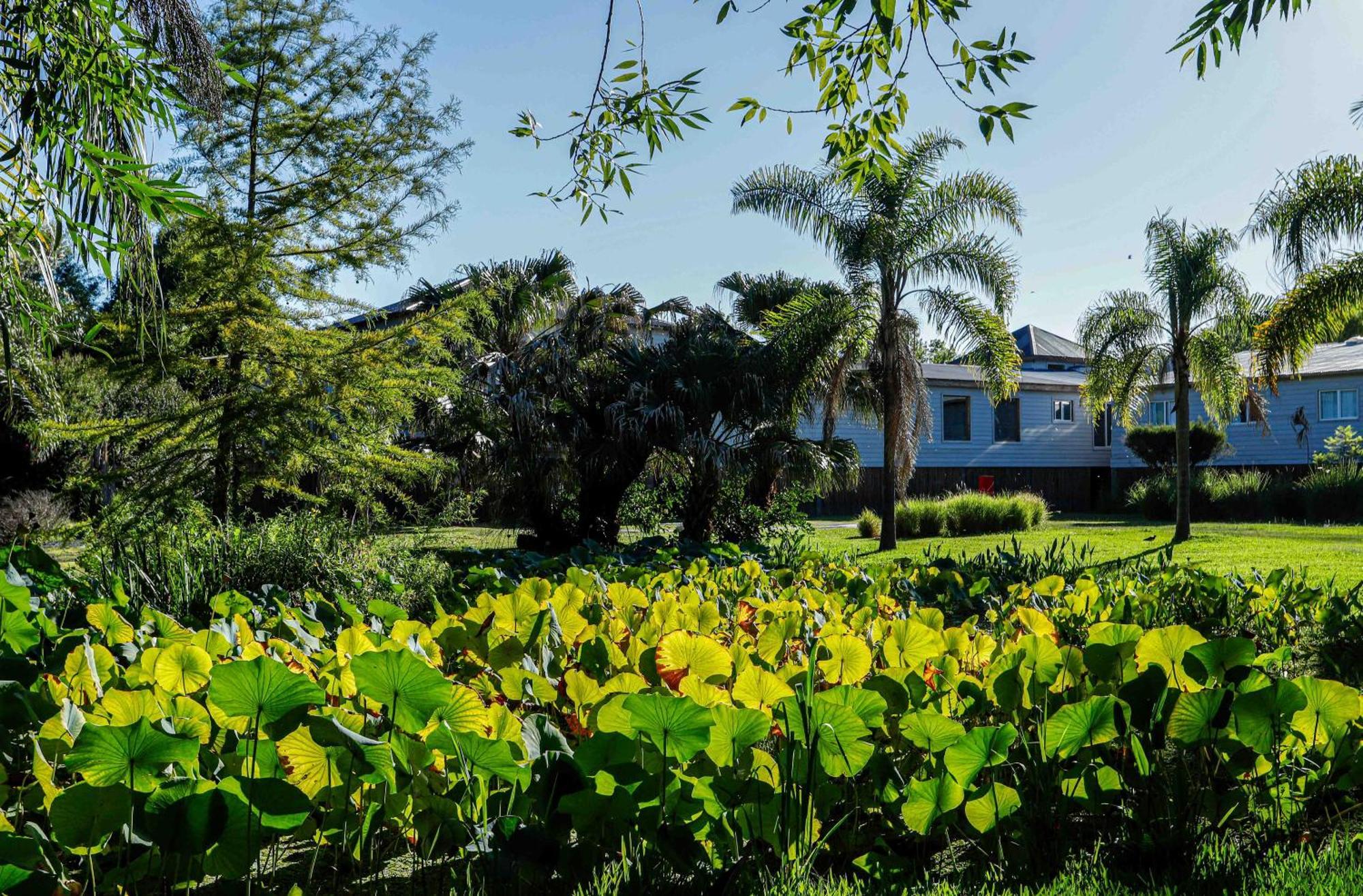 Delta Eco Resort & Spa Tigre Exteriör bild